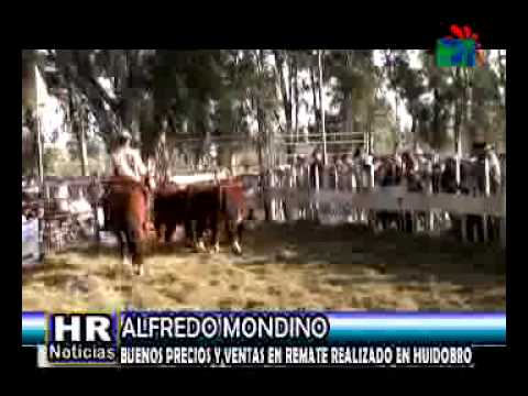 ALFREDO MONDINO   REMATE EN HUIDOBRO