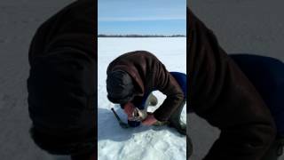 Красный бор рыбалка на щуку