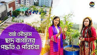 বর্ষা মৌসুমে ছাদ বাগানের যত্ন ও পরিচর্যায় করণীয়