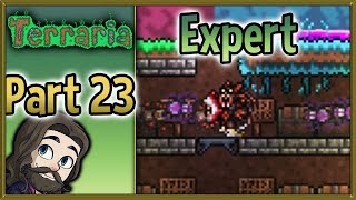 Terraria Expert Mode 1.3.5 Gameplay - Part 23 - Let