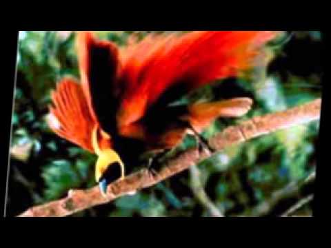 Misim Yu - Tarvin Toune [Audio]