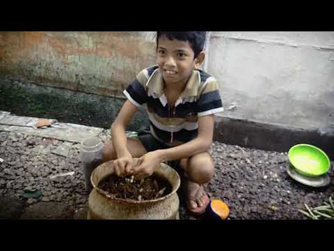 Antoos variety corner -AVACO.