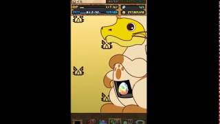 パズドラ　モンハンコラボ　アマツに始まりアマツに終わる