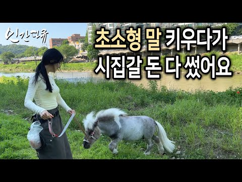 세계에서 가장 작은 말을 키우는 미모의 여성