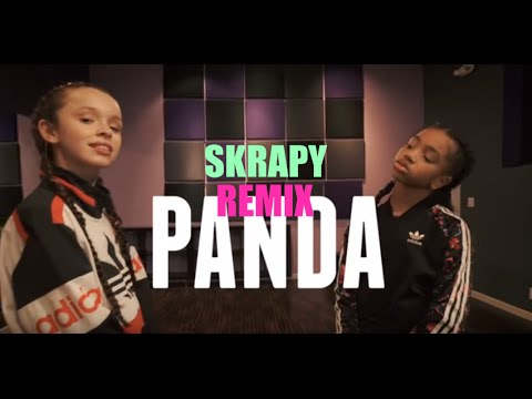 Skrapy - Panda (REMIX) (ft. Desiigner) Choreography Video