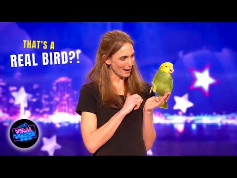 She Brings Out a Parrot… And He STARTS SINGING?! 😳