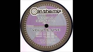 Onionz & Tony - What Ya Do Hipp E's Mix