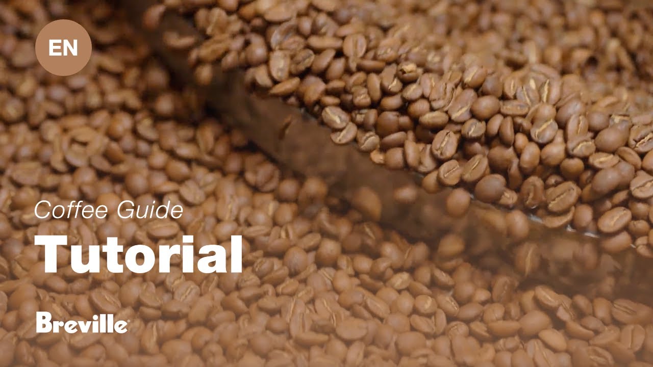 Breville coffee guide tutorial - Choosing the right beans