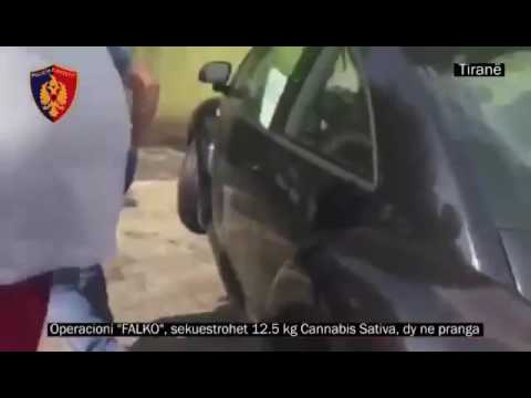 Ora News - Arrestohet polici me 12.5 kg kanabis sativa