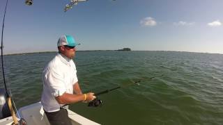 AMI Charters Drone Fishing Video // Anna Maria Island Fishing