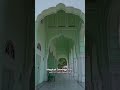 Diggi Palace: Your Perfect Bucket List Destination for New Year Celebrations 🎉✨