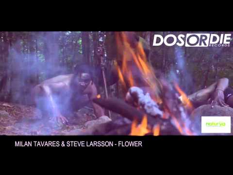 Milan Tavares & Steve Larsson - Flower