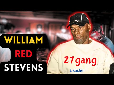 The Rise and Fall of William ‘Red’ Stevens: Inside Cape Town’s Notorious 27s Gang Leader
