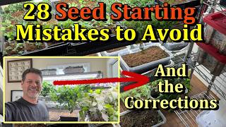 28 Common Indoor Seed Starting Mistakes to Avoid (Full Details & Corrections)