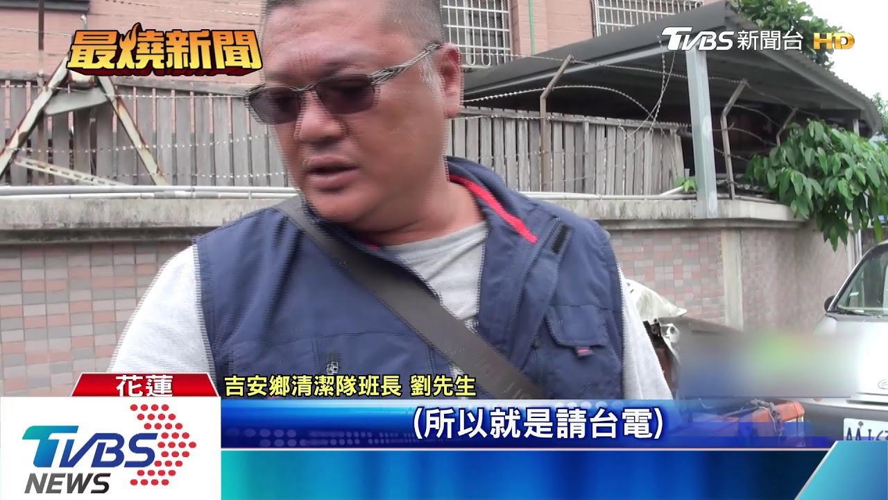 車頂凹陷!台電幫鋸樹意外砸車、毀圍籬