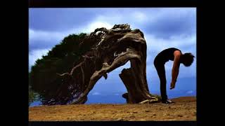 Brian May -  China Belle