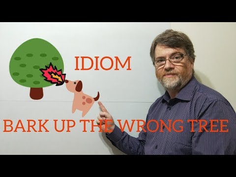 English Tutor Nick P Idioms (207) Bark Up the Wrong Tree