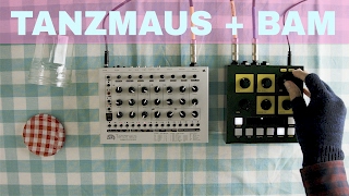 Video thumbnail for MFB TANZMAUS + OTO MACHINES BAM ~ Will They Pair? Ep.08 by once upon a synth