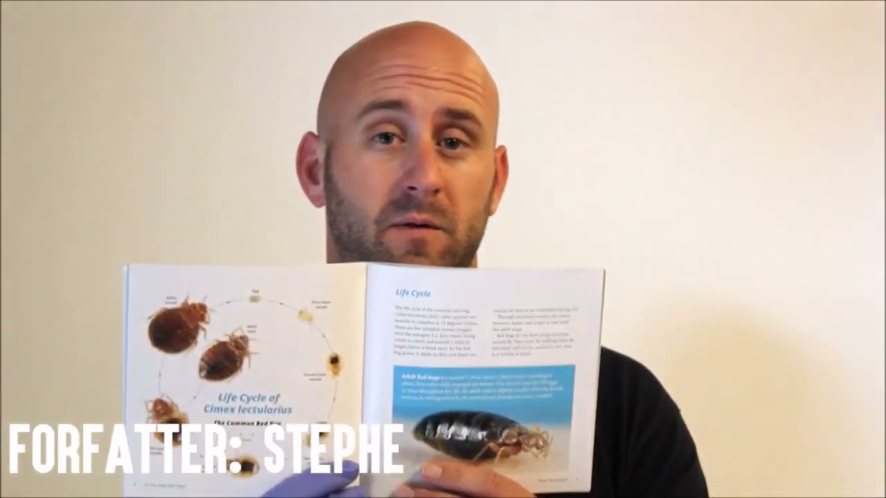 Veggedyr feller - 8 stk + Boken 