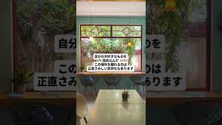 【胡椒ソムリエからお知らせ】シェムリアップでまた新しい挑戦が始まります!