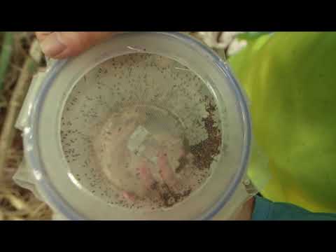 Westchester County West Nile