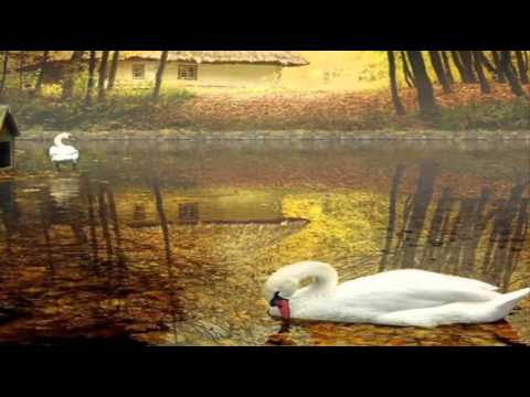 My Choice - Ziehrer: Fächer-Polonaise Op 525