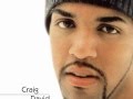 Craig David ft.Twista - Whats Your Flava ?