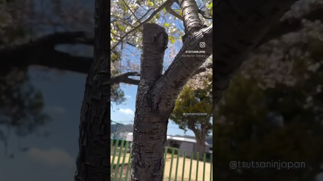 YouTube Short thumbnail