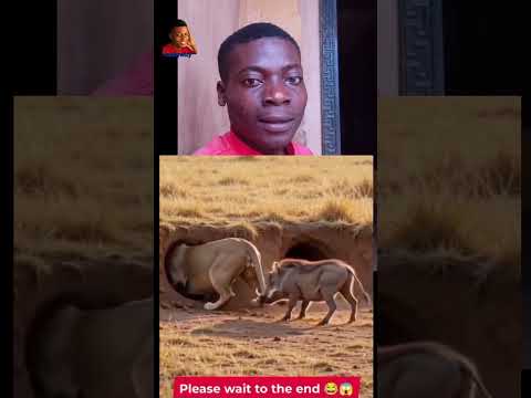 kasongo no gree ooo 🤣#fyp #goviral #trending #reaction