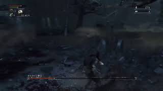 筋力極振り&全ボス撃破目指します　1