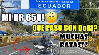 THE END OF MY DR 650 (DoRi)🥹 What Happened?🤯