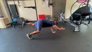Bear Crawl Bird Dog thumbnail