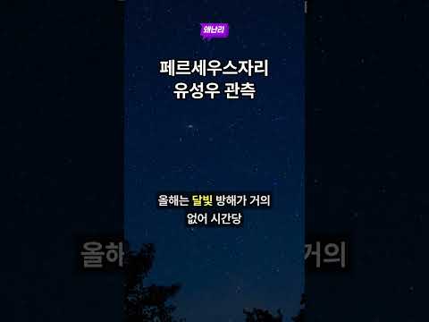 페르세우스자리 유성우 관측