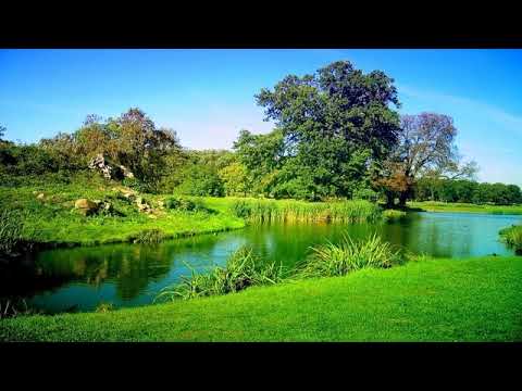 Renuntând la găndurile mele # Emil Cuc