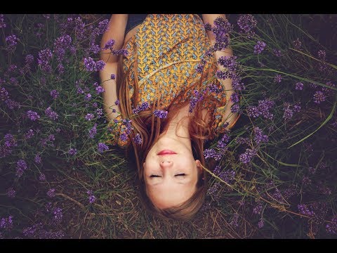 Essential Oils To Cure Headache| Aromatherapy Blend - Homeveda