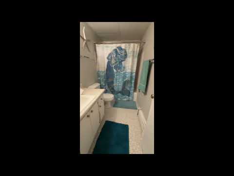 Williamsburg Flats 225 - Video 2 of 2