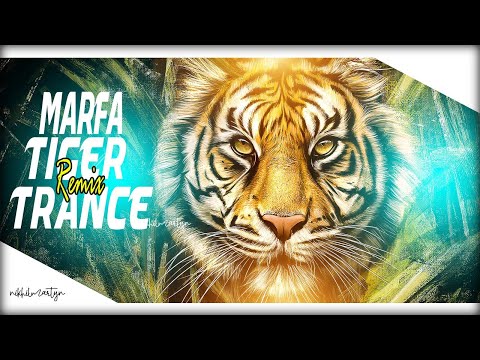 Hyderabadi Marfa Vs Tiger Trance | Dj Nikhil Martyn