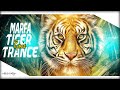 Hyderabadi Marfa Vs Tiger Trance Dj Nikhil Martyn