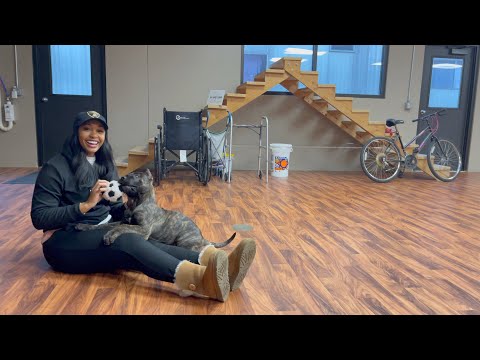 VISITING OUR PUPPY FOR THE FIRST TIME | VLOGMAS DAY 6