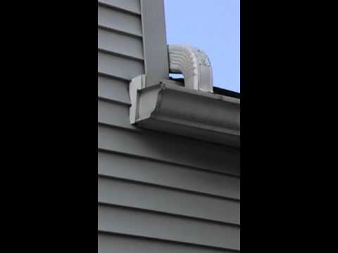 Wasps Hiding Behind Soffits in Edison, NJ