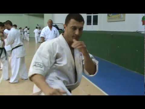 Dimitar S. Popov Sensei kicks - Shinkyokushin karate