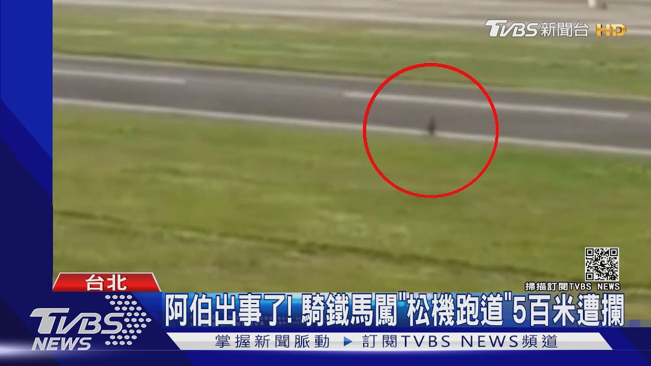 阿伯出事了!騎鐵馬闖「松機跑道」 5百米遭攔