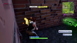 【Fortnite】実況！甘えたがりsolo