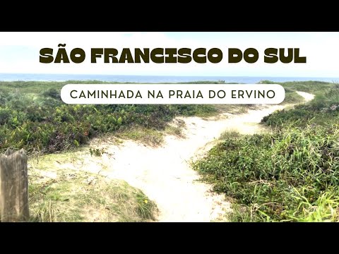 Caminhada pela Praia do Ervino | São Francisco do Sul | Litoral Norte de Santa Catarina