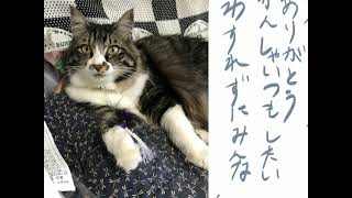 真夏のパラレル