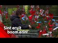 Sinterklaas eruit, de kerstboom erin! Het mag weer!