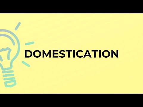 What is the meaning of the word DOMESTICATION?