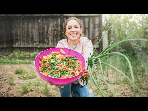 ESTO COMEMOS EN UN PUEBLO DE RUMANÍA