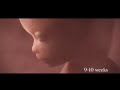 Abortion Documentary