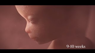 Abortion (documentary)